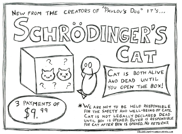 Schrodinger's Cat Image Two