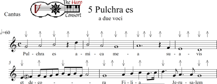 Pulchra es for Tactus_0001